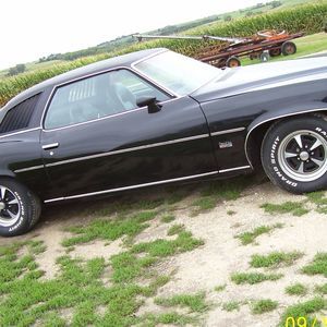 Meet your Posher, Paula